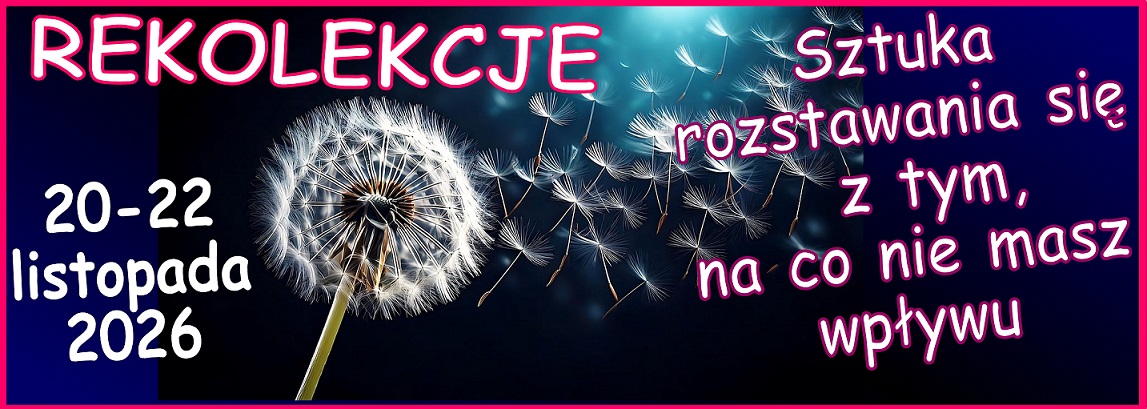 Więcej...